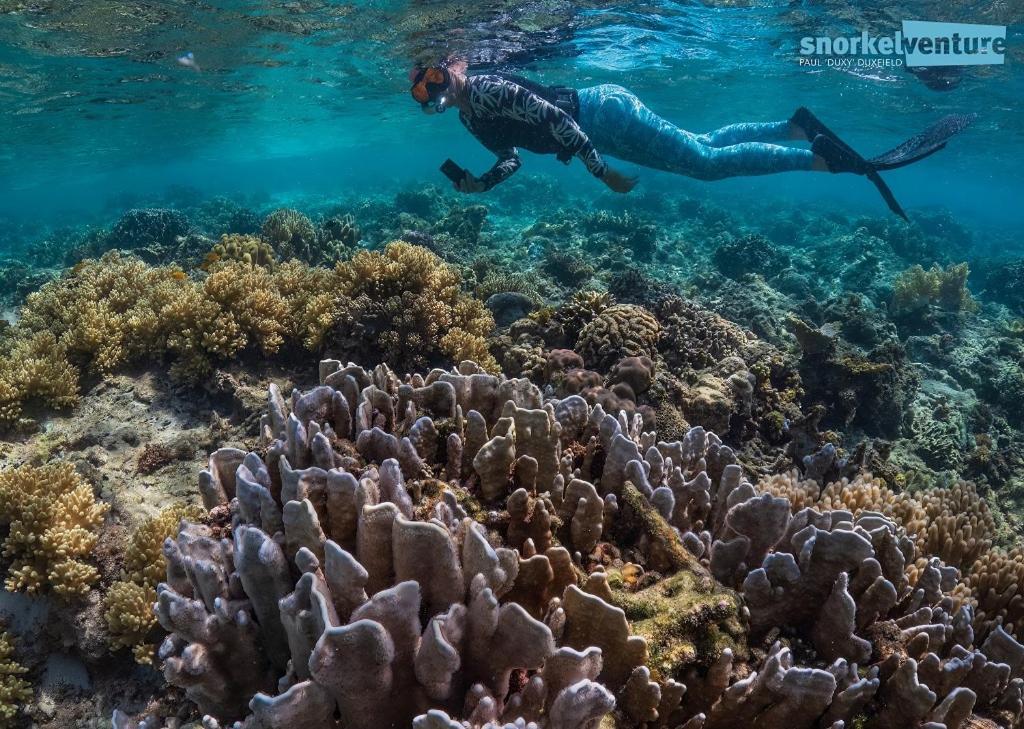 Magic Island Dive Resort Moalboal Zewnętrze zdjęcie