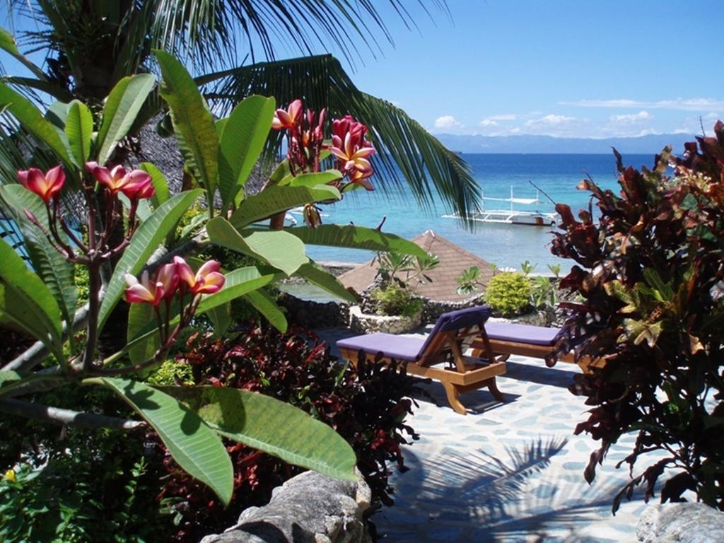 Magic Island Dive Resort Moalboal Zewnętrze zdjęcie