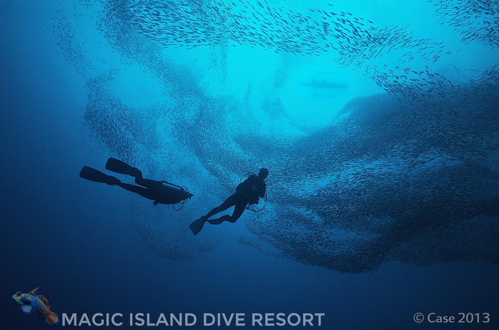 Magic Island Dive Resort Moalboal Zewnętrze zdjęcie